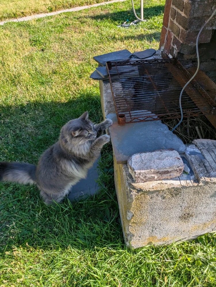 GIF uploaded by 👽Joey🌕