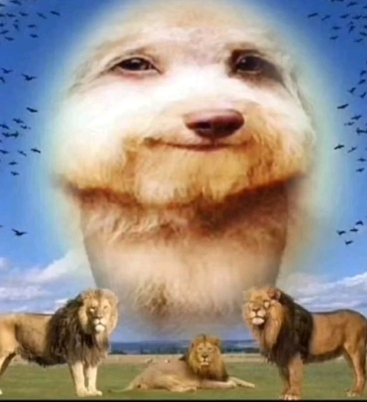 GIF enviado por Nana