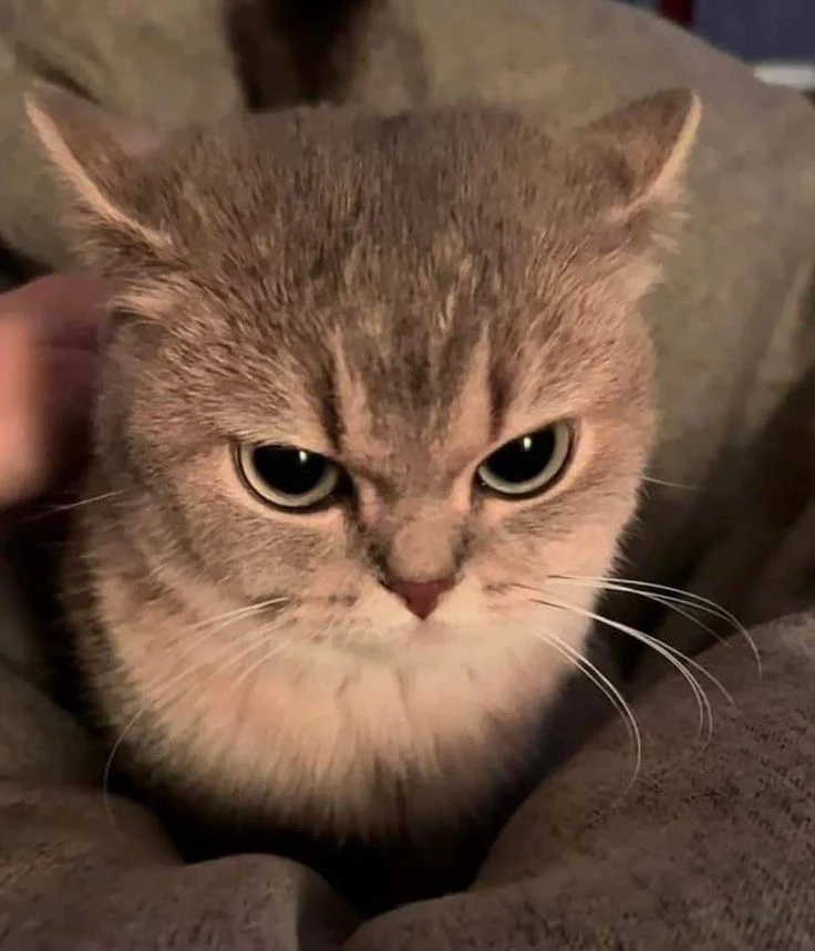 GIF diunggah dening Blake