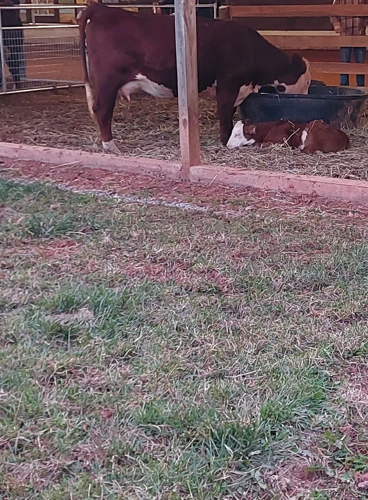 GIF uploaded by Jonathan