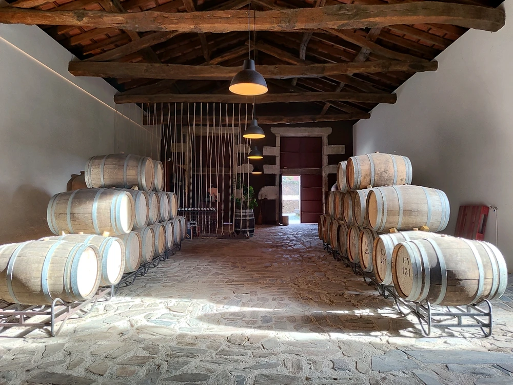 GIF uploaded by Maru