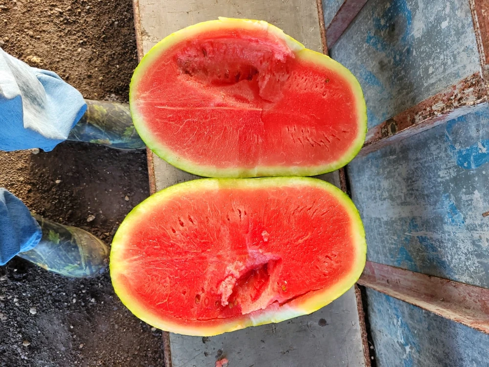 GIF uploaded by James