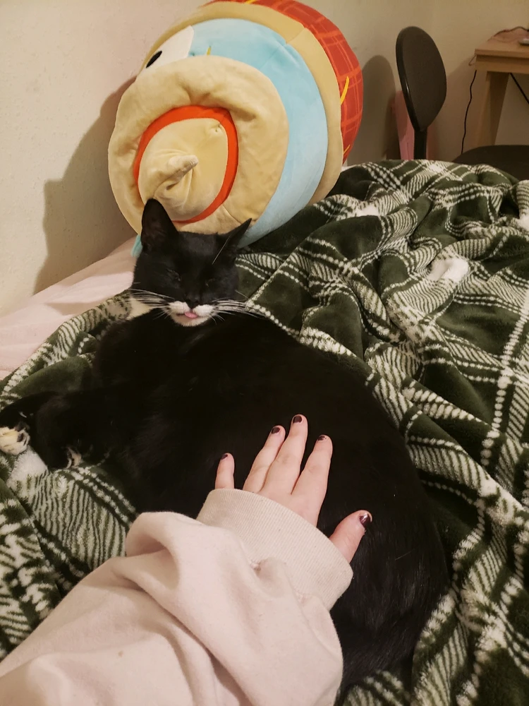 GIF diunggah dening Rin