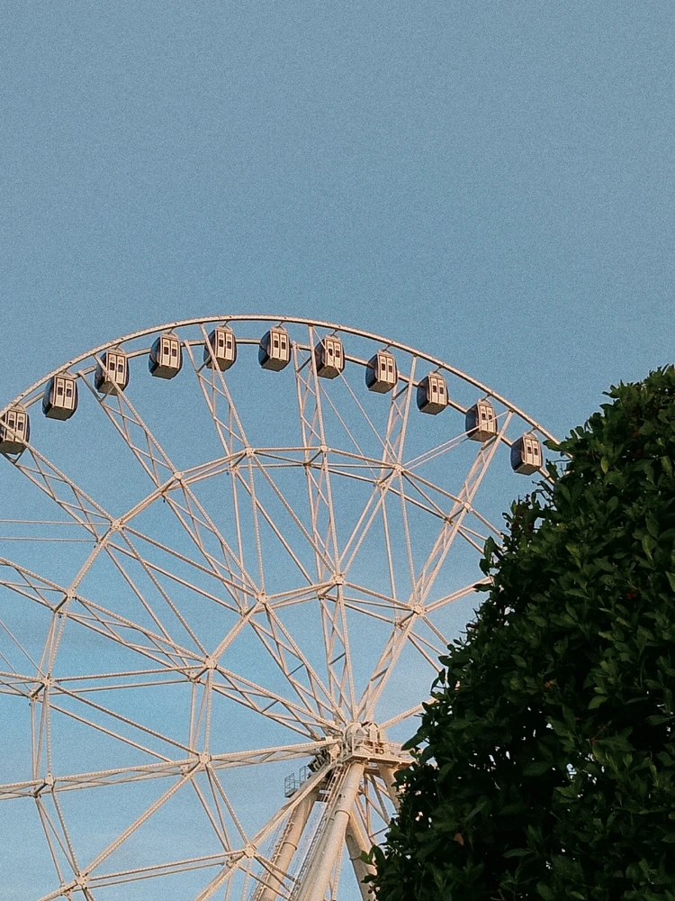 Decidí salir sin pensar en el dinero.