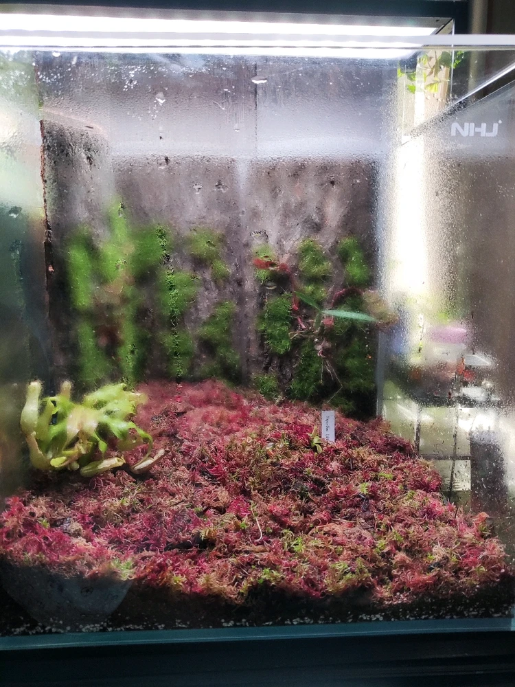 GIF uploaded by Yunyi