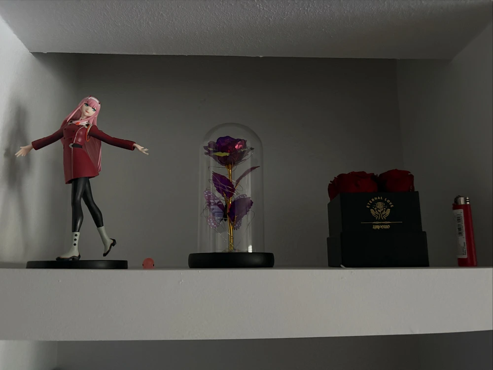 GIF uploaded by Elizabeth