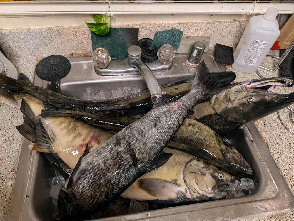 GIF uploaded by 🇺🇲Daniel Fisk Bennett