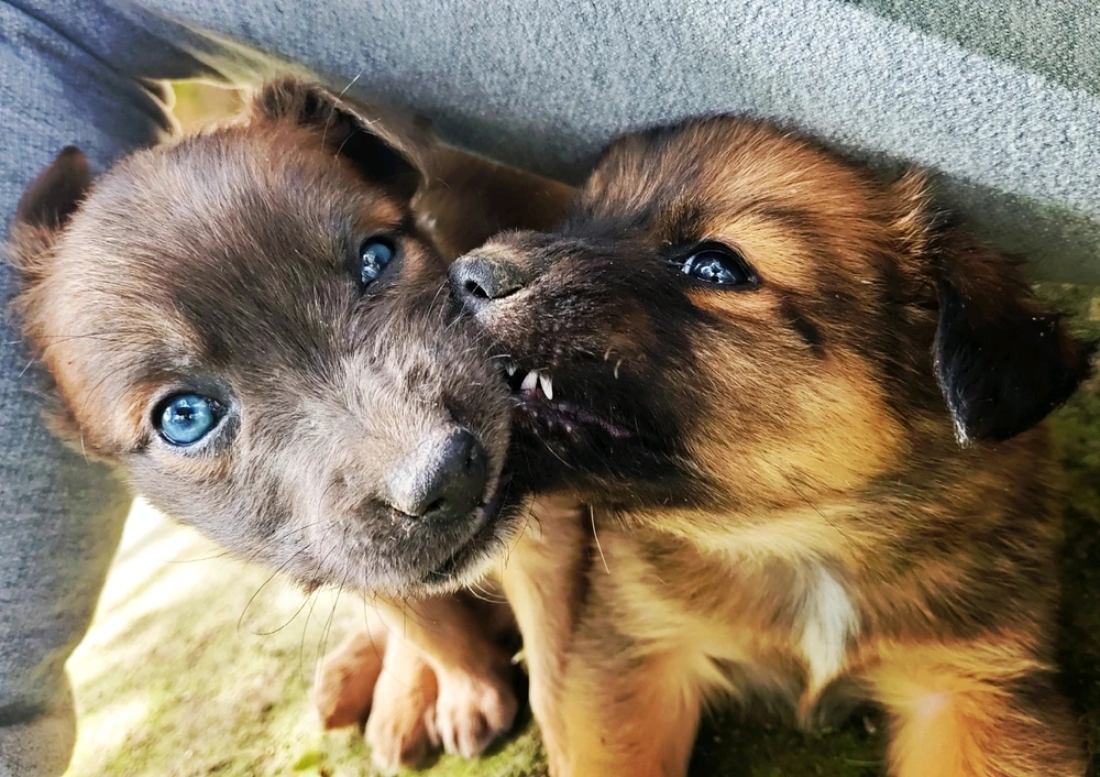 GIF uploaded by Nora