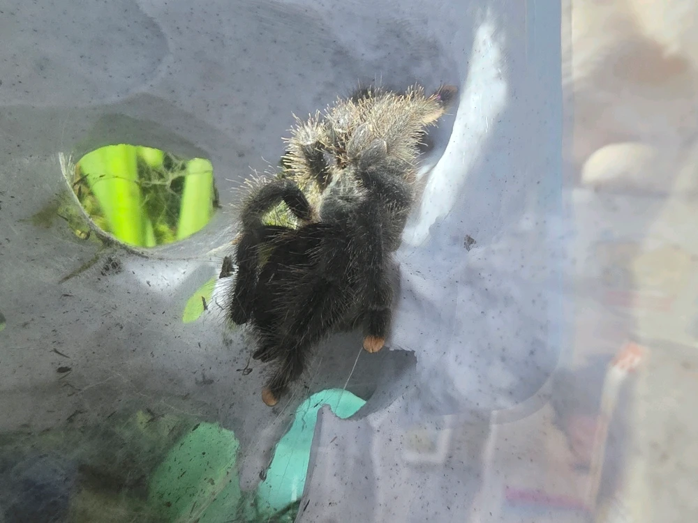 GIF uploaded by Alejandro