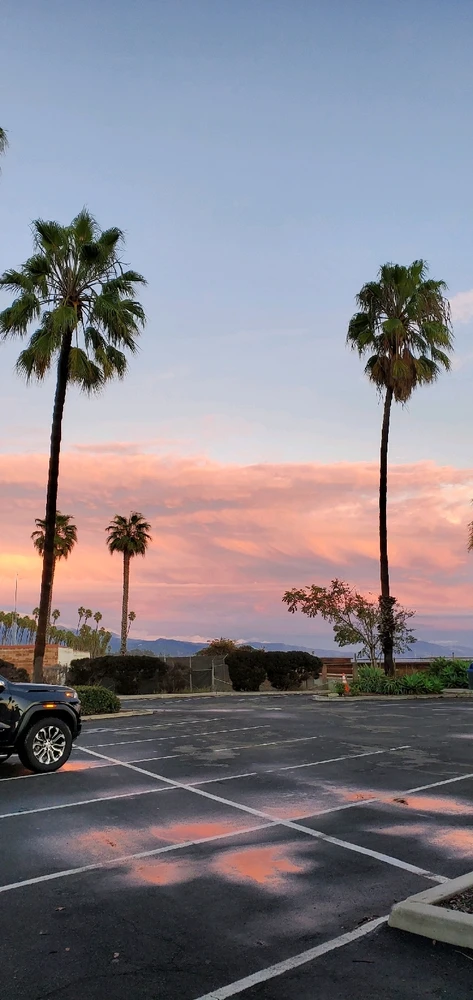 Image uploaded by Conlan