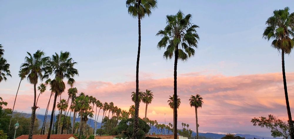 Image uploaded by Conlan