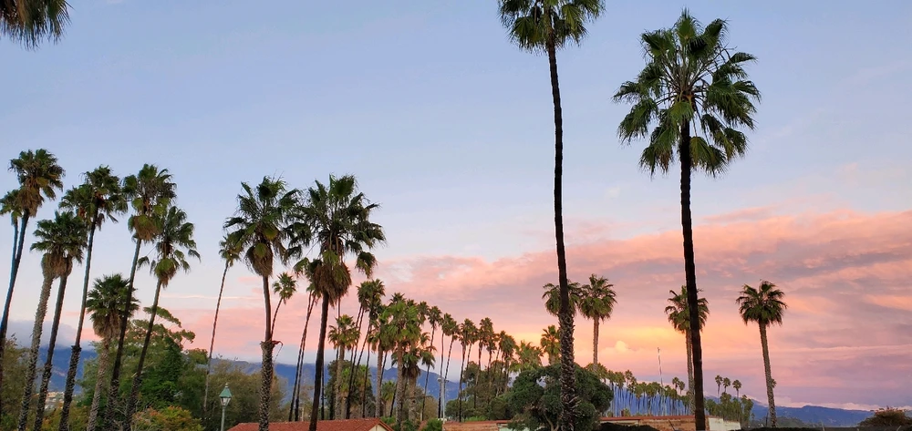 Image uploaded by Conlan