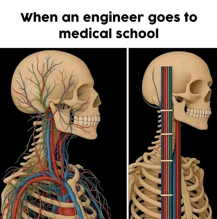 GIF uploaded by ErrorNotFound