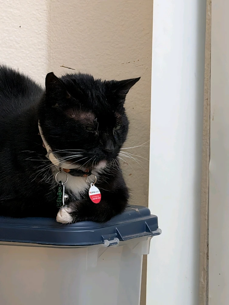 GIF diunggah dening 🇺🇲Daniel Fisk Bennett