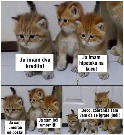 GIF otpremio/la Đorđe