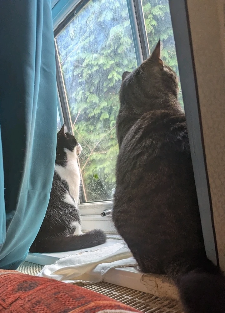 GIF diunggah dening Luke