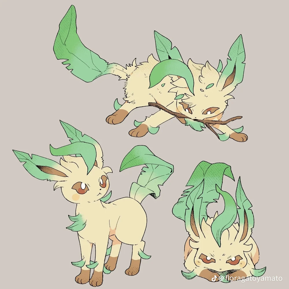 Eevee ❤️❤️❤️❤️