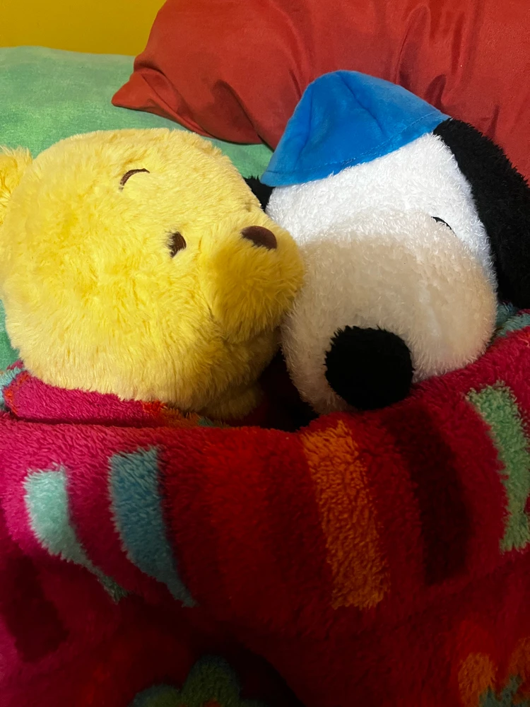 Top cosas bonita que me han pasado mientras desaparecí