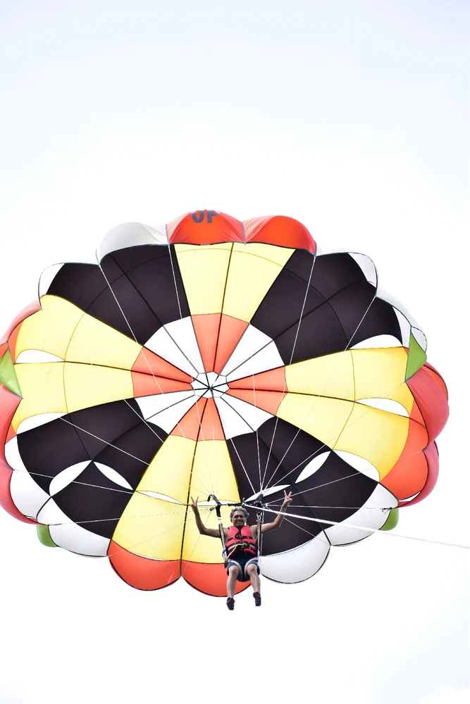 GIF uploaded by Alan