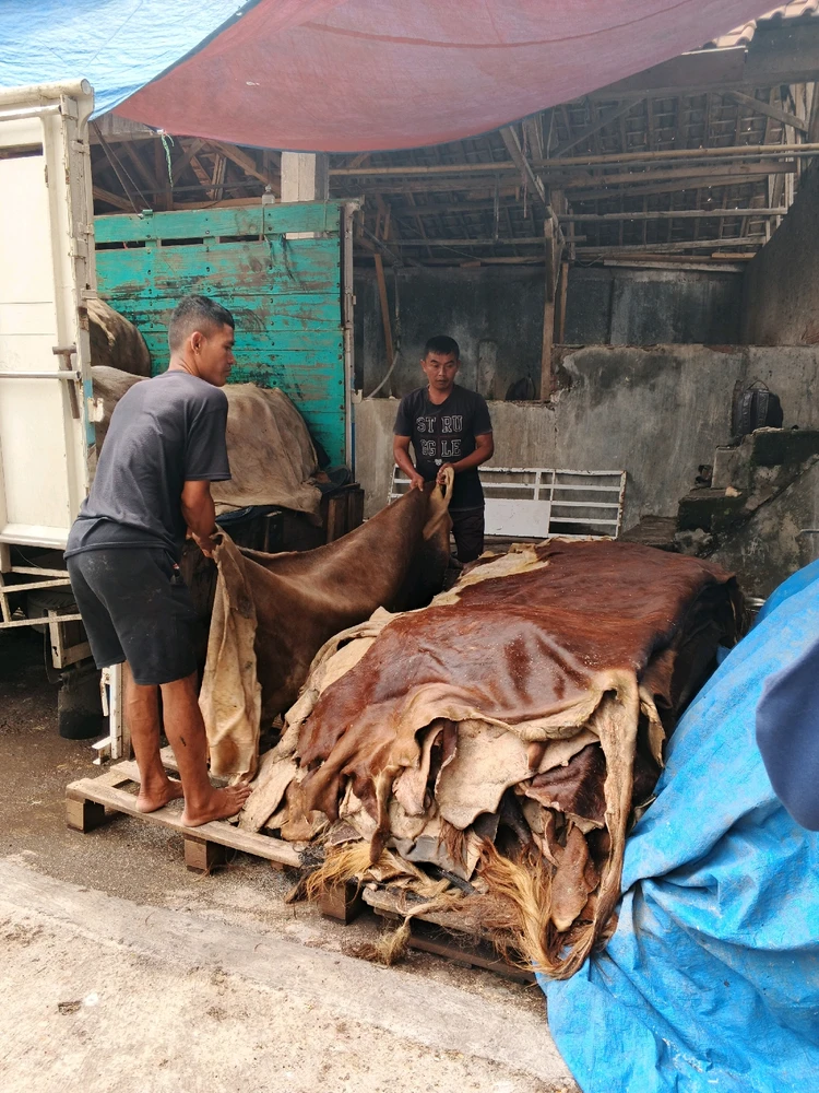 GIF diunggah oleh BY