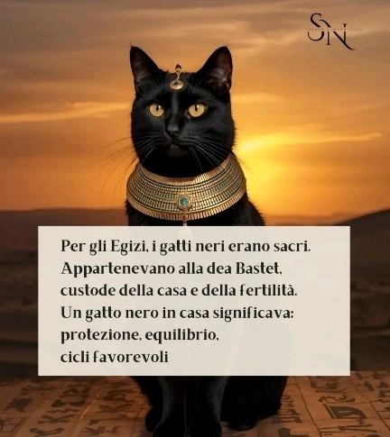 Immagine caricata da CX