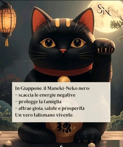 Immagine caricata da CX