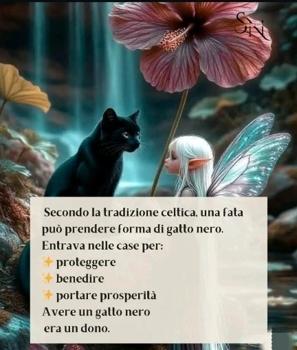 Immagine caricata da CX