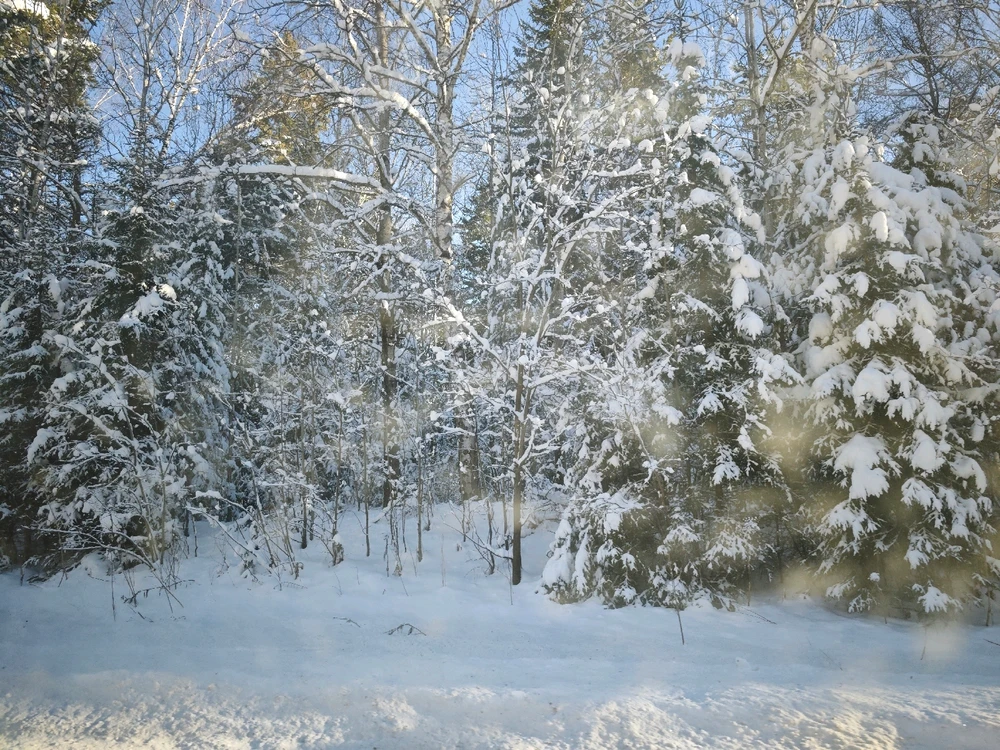 GIF загрузил Vlad