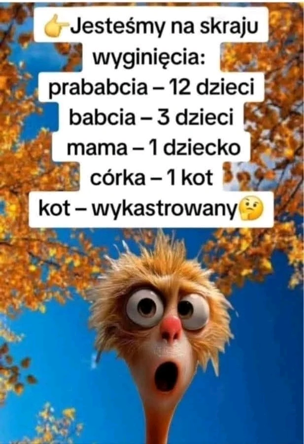 GIF dodany przez Mario