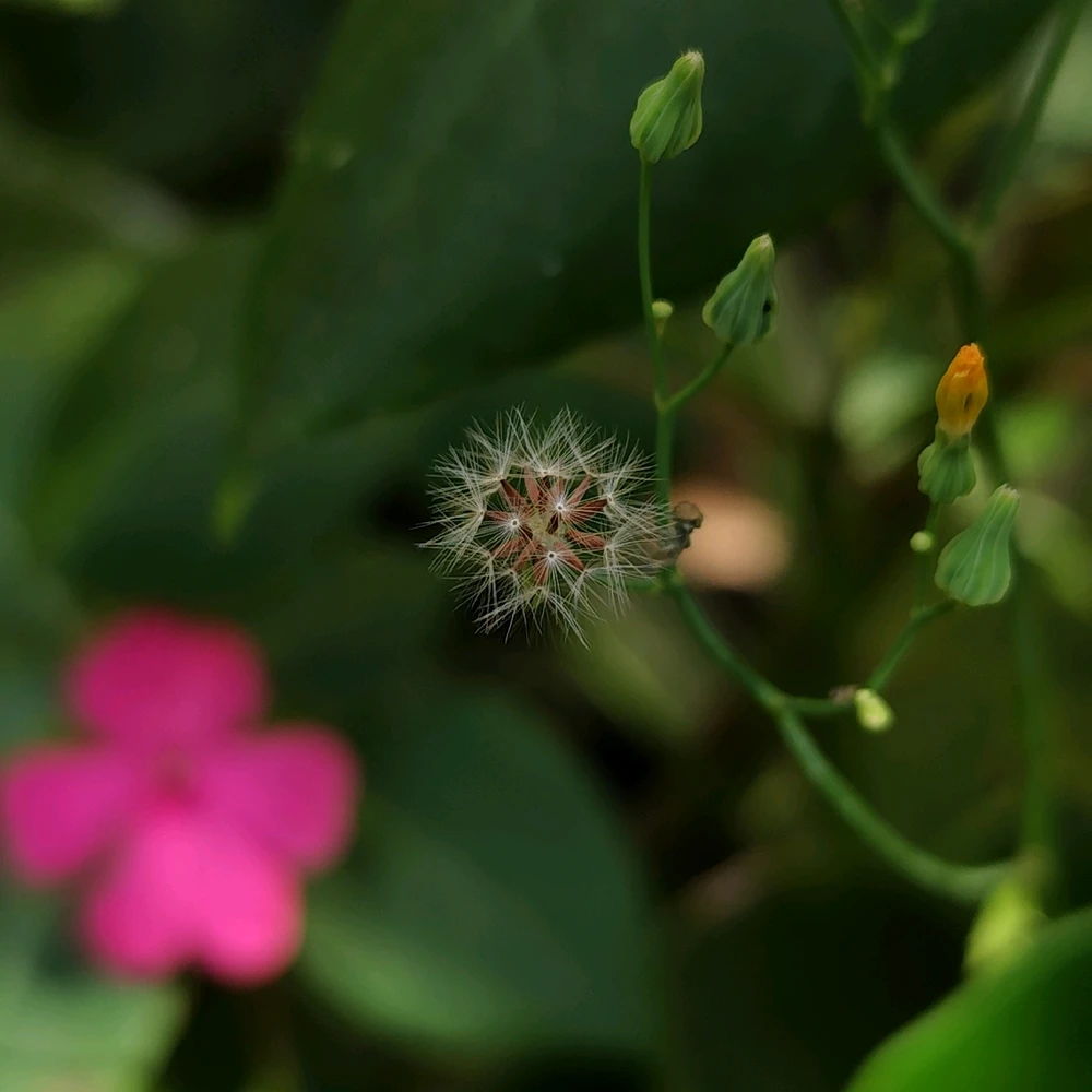 GIF enviado por Arlei