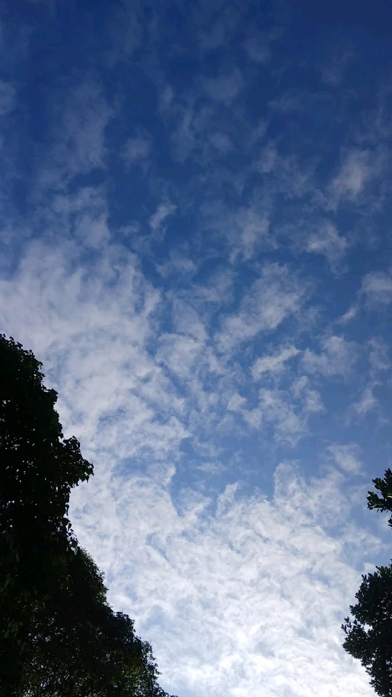 Image uploaded by 💜J💜o💜e💜y💜