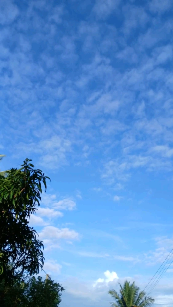 Image uploaded by 💜J💜o💜e💜y💜