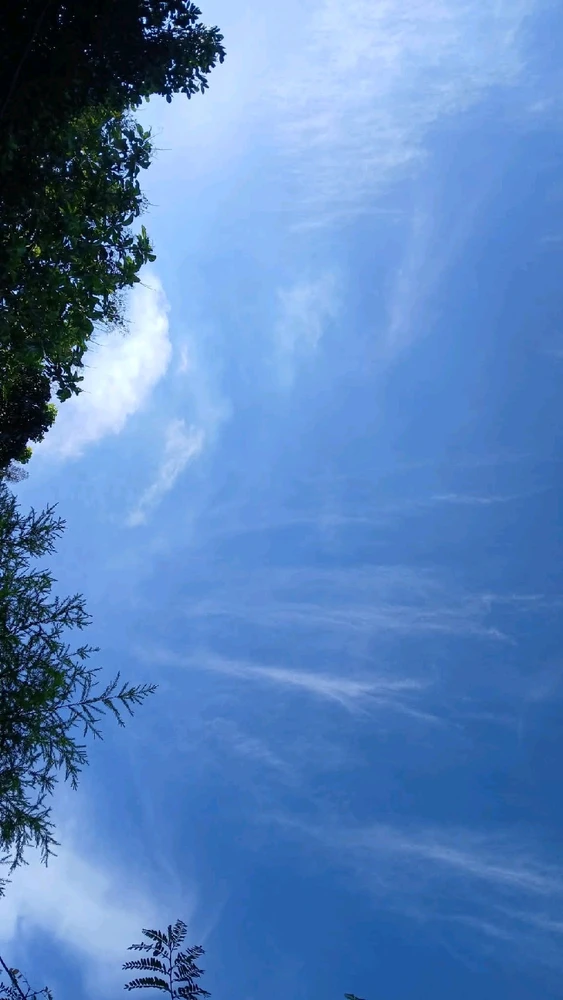 Image uploaded by 💜J💜o💜e💜y💜