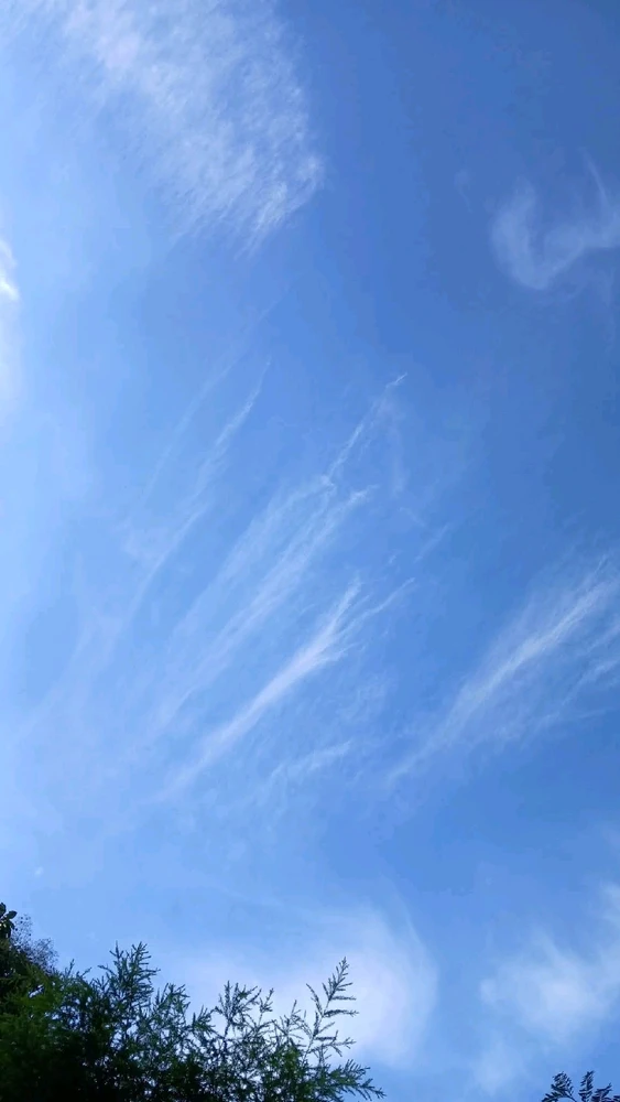 Image uploaded by 💜J💜o💜e💜y💜