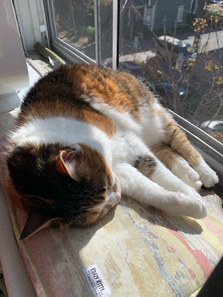 GIF uploaded by Jessica