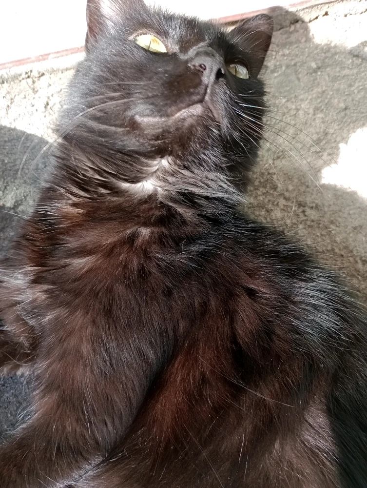 Imagem enviada por Jonas