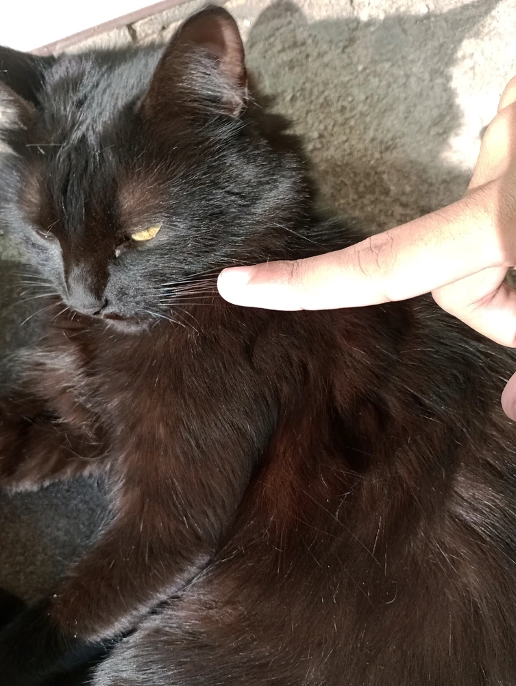 Imagem enviada por Jonas