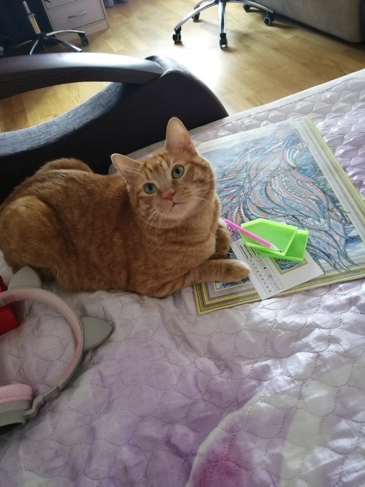 А вот и мой усатый помощник 😁