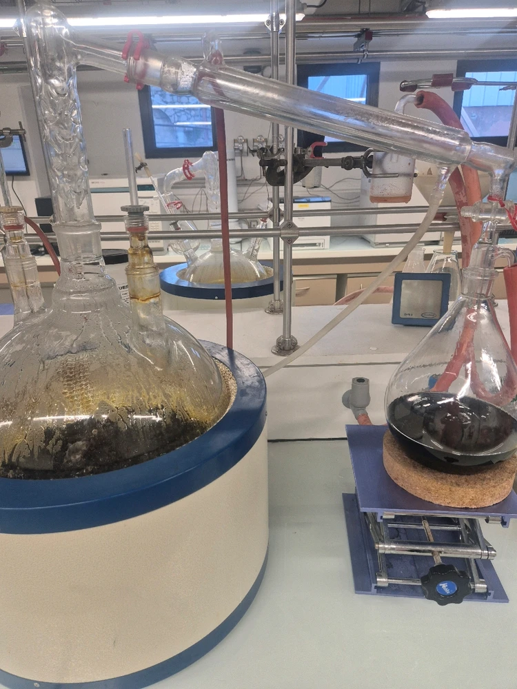 GIF ajouté par Brandon