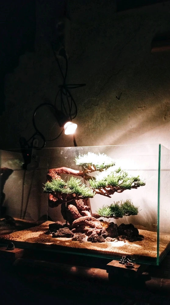 GIF diunggah oleh Jimbon