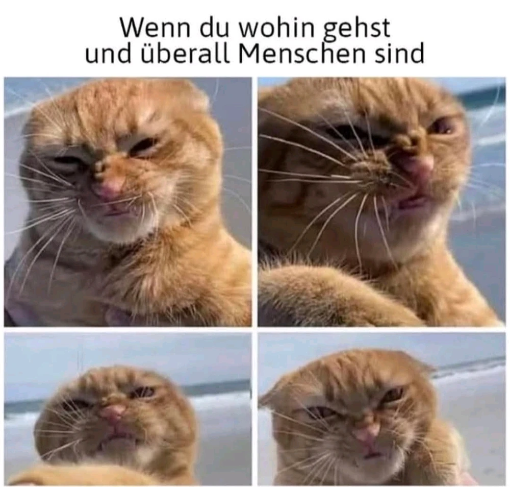 GIF hochgeladen von Theresa