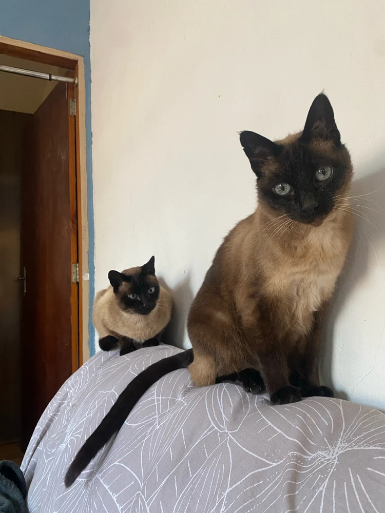 GIF enviado por Mauro