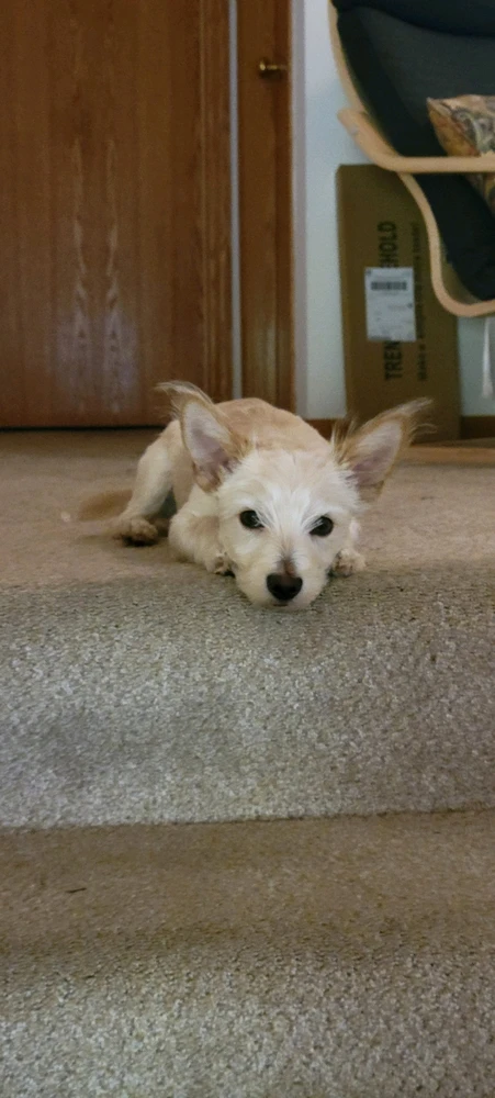 GIF uploaded by Matthew