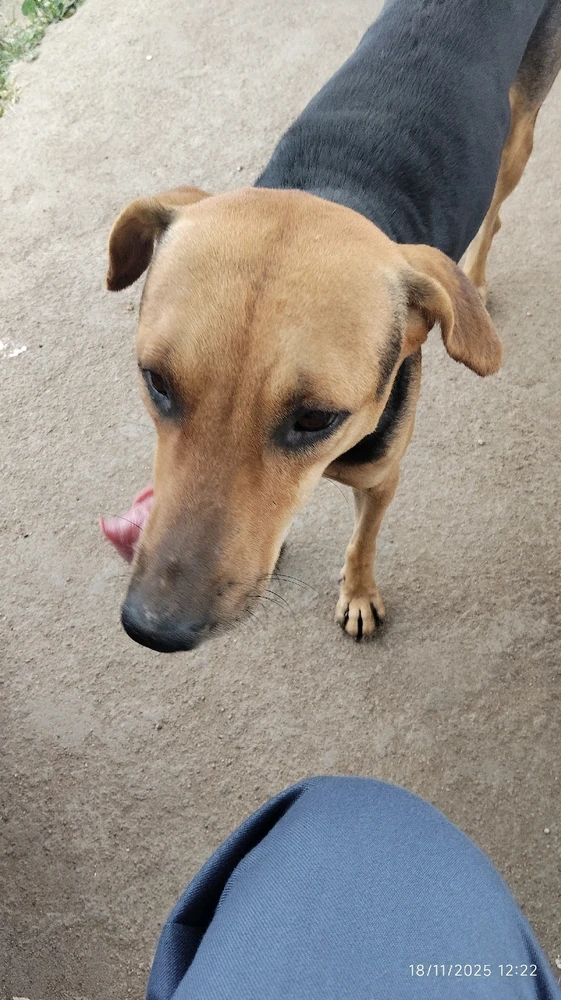 Image uploaded by Droohin Mukherjee