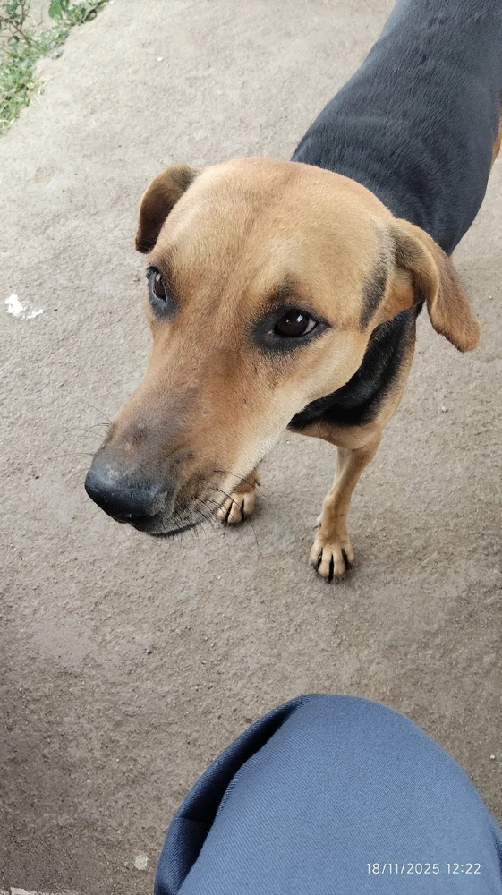 Image uploaded by Droohin Mukherjee