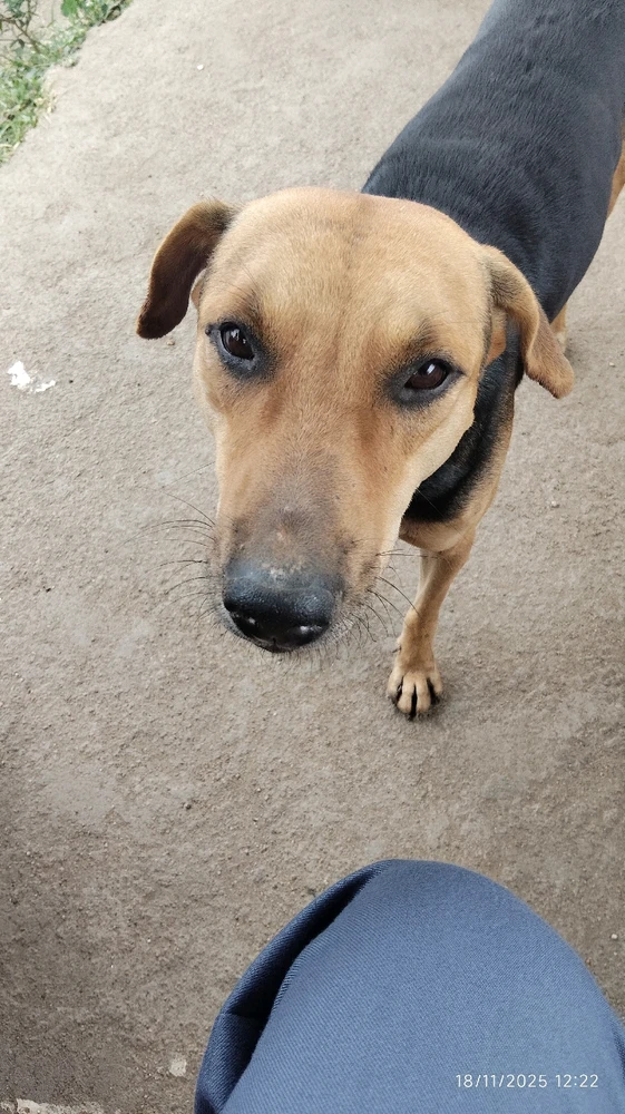 Image uploaded by Droohin Mukherjee