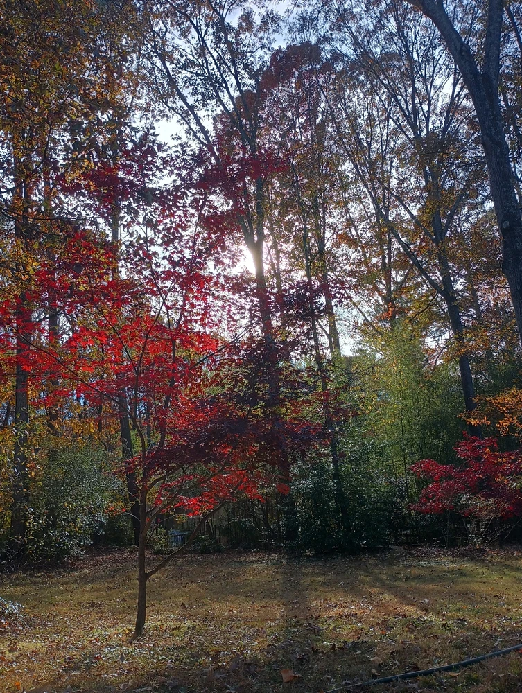 GIF uploaded by James