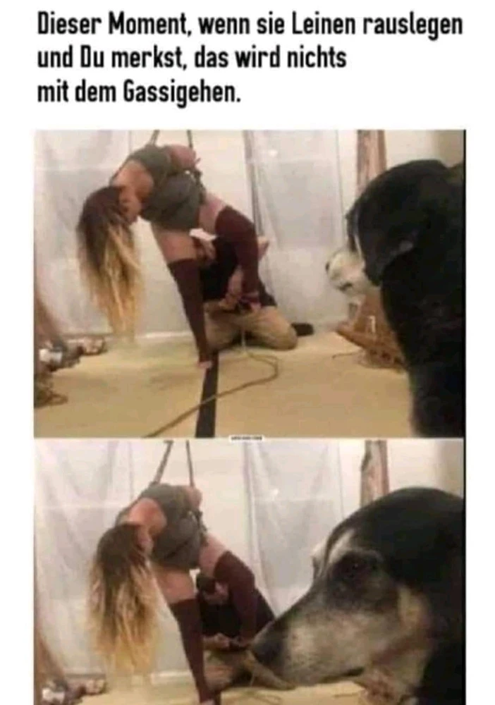 GIF hochgeladen von Vik