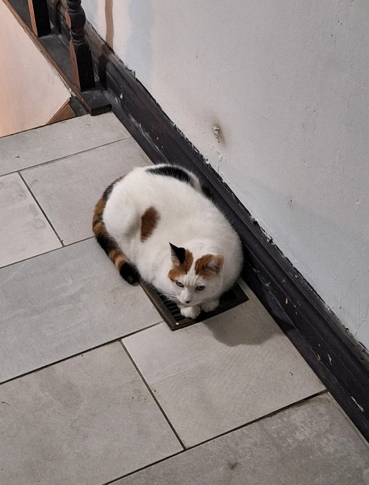 GIF uploaded by Jordan