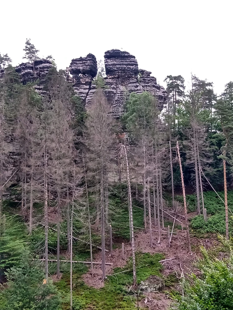 Image uploaded by Emmanuel